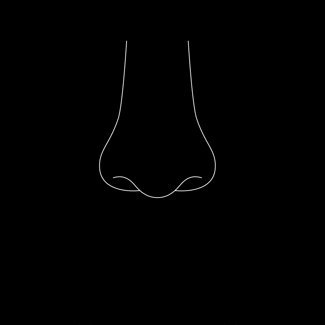 Prueba de talla